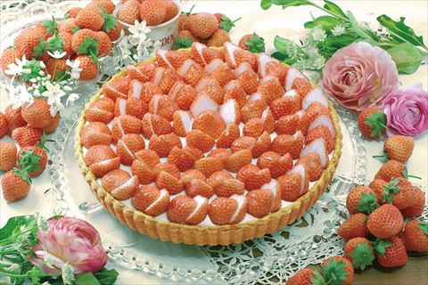 キル フェ ボン