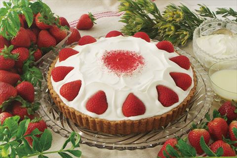 キル フェ ボン