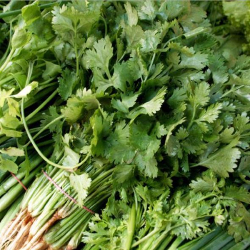 「パクチー」料理専門講座