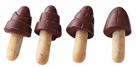 森のチョコの木