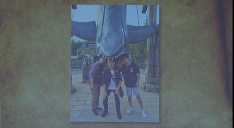 ドラゴンクエスト