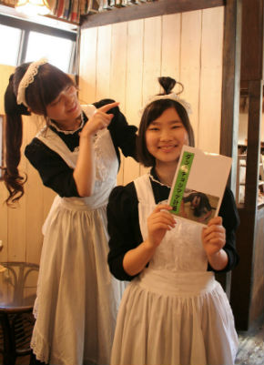 シャッツキステ