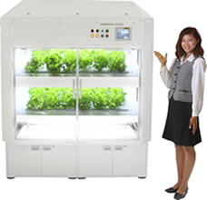 世界最大級の自動車運搬船