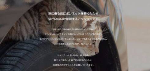 猫バンバン