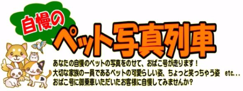 自慢のペット写真列車