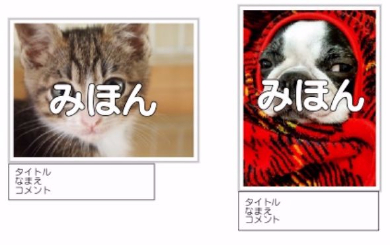 自慢のペット写真列車