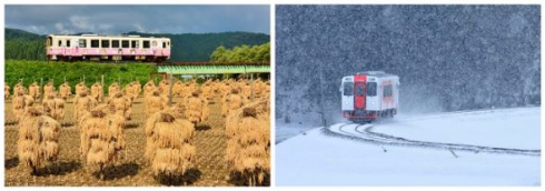 自慢のペット写真列車