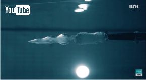 マッドサイエンティスト