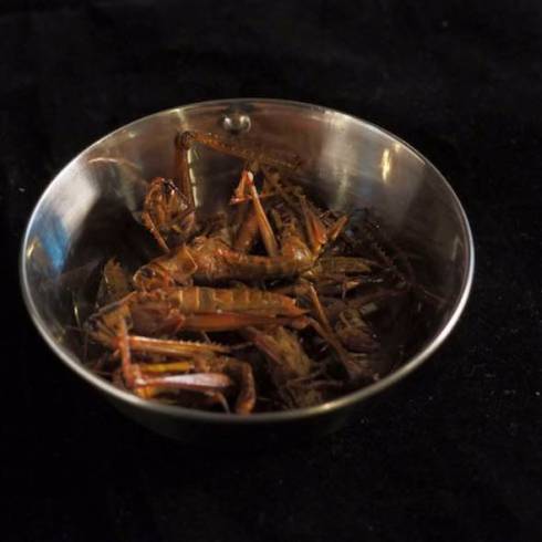 スパイアトラクションinSPYre