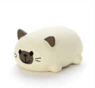 ドレミファキャット