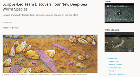 ナゾの深海生物