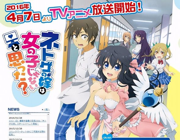 アニメ「ネトゲの嫁は女の子じゃないと思った？」