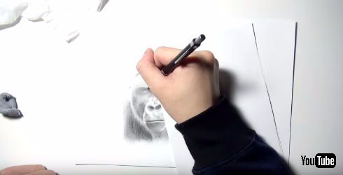 ぺんてるがイケメンゴリラ動画