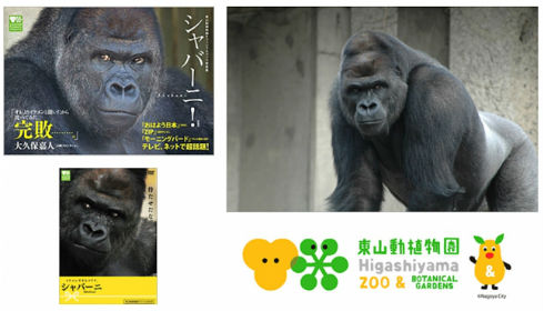 オレンズでイケメンゴリラ