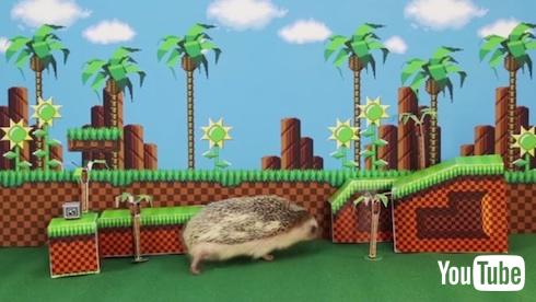 実写版ソニック・ザ・ヘッジホッグ