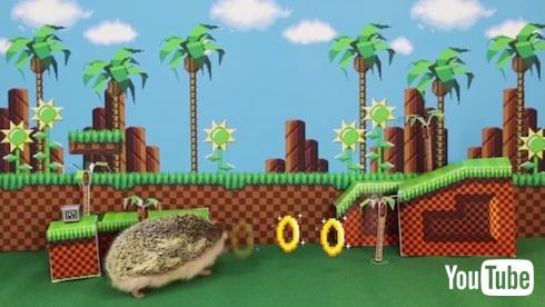 実写版ソニック・ザ・ヘッジホッグ