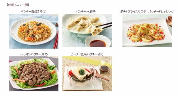 パクチーペースト