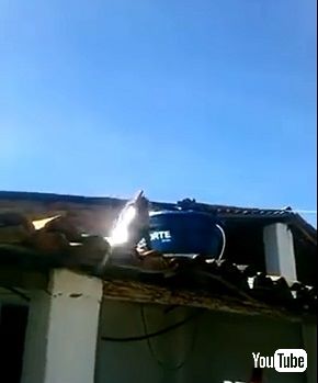 刃物をギラつかせるサル