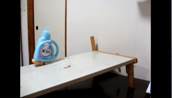 液体洗剤の二足歩行競争