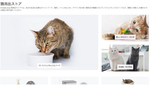 Amazonが猫用品ストアをオープン