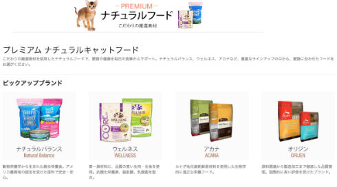 Amazonに猫用品ストア誕生