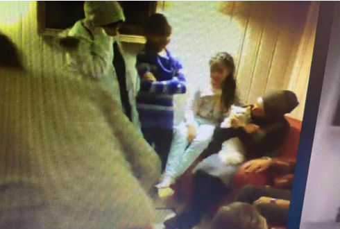 難民の猫がボランティアの協力で再会