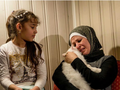 難民の猫がボランティアの協力で再会