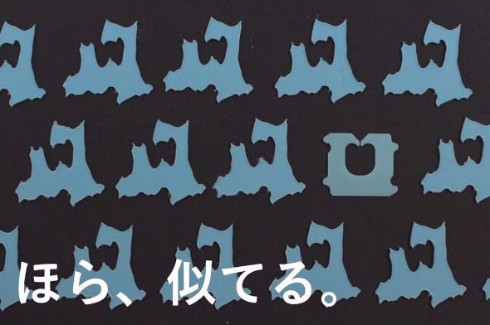 バッグクロージャー