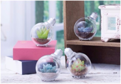 豆電球テラリウム