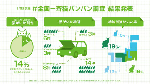 猫バンバン調査結果