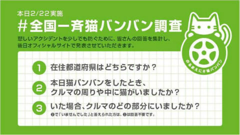 猫バンバン調査結果