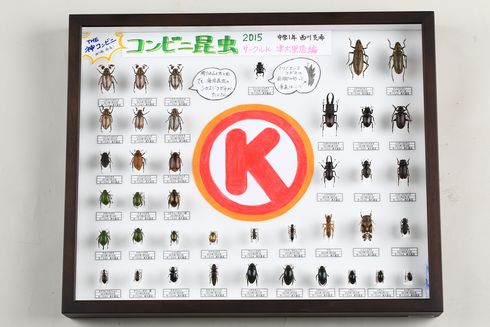 コンビニ昆虫