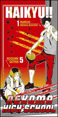 ハイキュー一番くじC賞