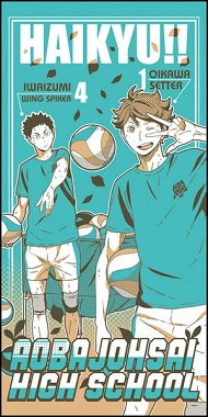 ハイキュー一番くじD賞