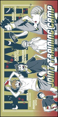 ハイキュー一番くじE賞