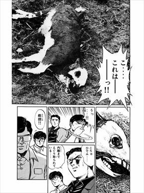 MMRタナカ・イケダ・トマル隊員インタビュー