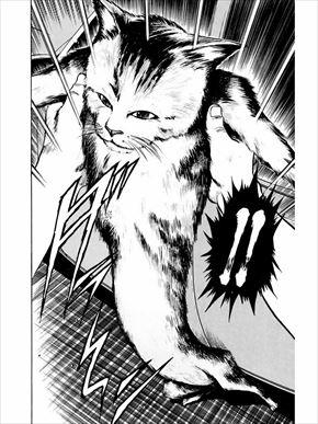 MMRタナカ・イケダ・トマル隊員インタビュー