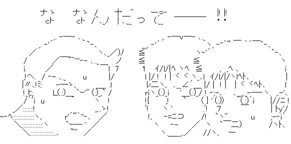 MMRタナカ・イケダ・トマル隊員インタビュー