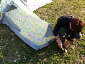 クレイジーエックス