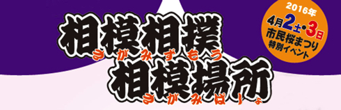 相模相撲相模場所