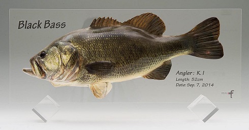 ポップフィッシュ