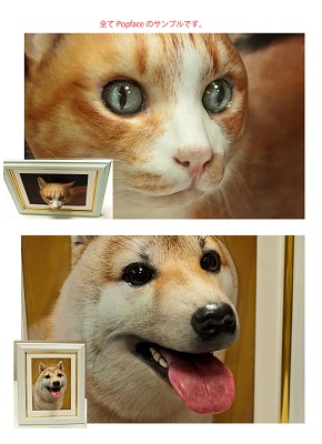 ポップフェイス