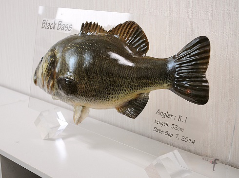 ポップフィッシュ