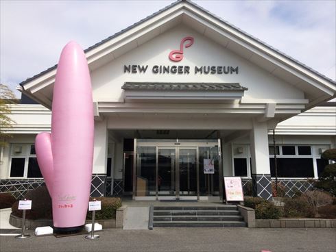 岩下の新生姜ペンライト