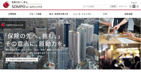 損保ジャパン日本興亜ホールディングス