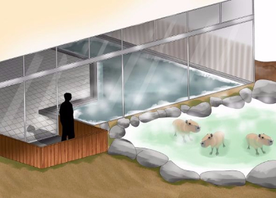 カピバラの湯
