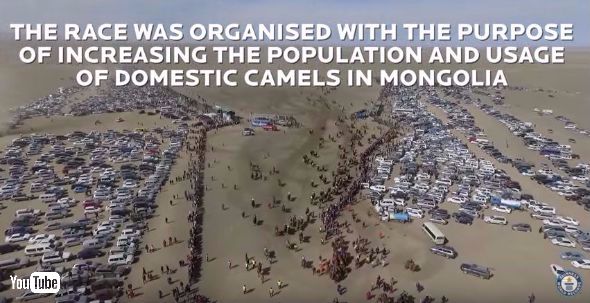 ギネス記録認定