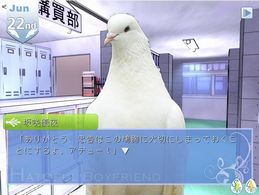 はーとふる彼氏