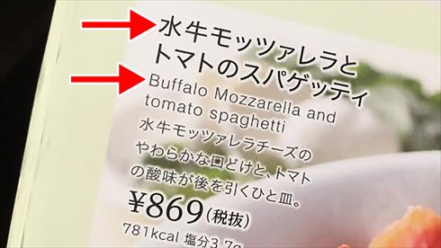 バッファローヘッドセット