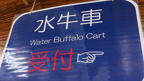 バッファローヘッドセット